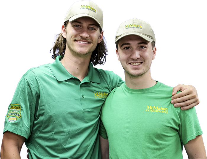 Pest Control McMahon Exterminating About